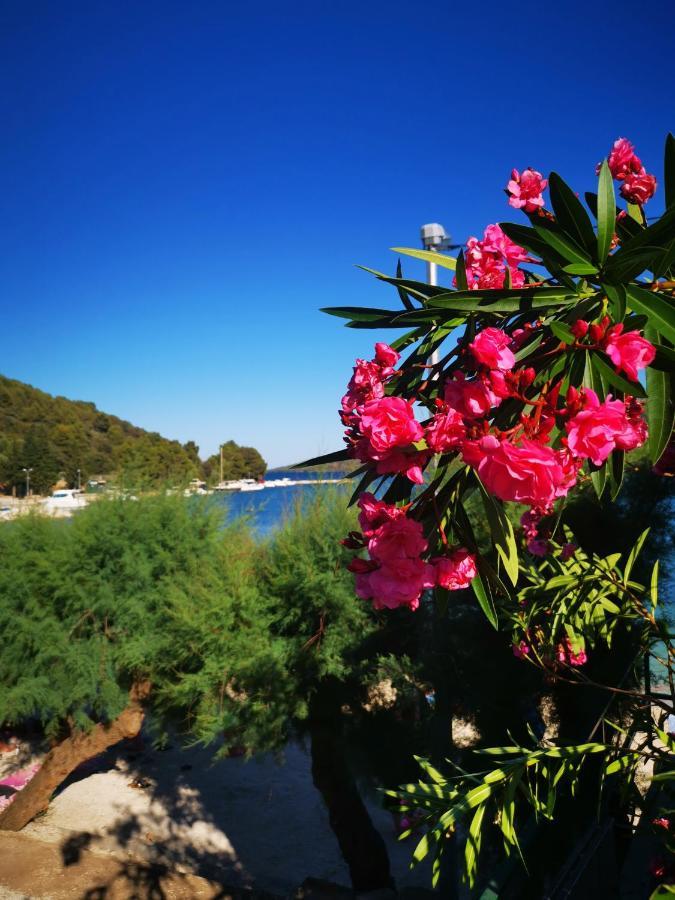 Apartment Ivan Marina Εξωτερικό φωτογραφία
